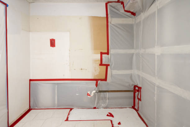 Best Mold Remediation for Healthcare Facilities  in Greenbriar, FL