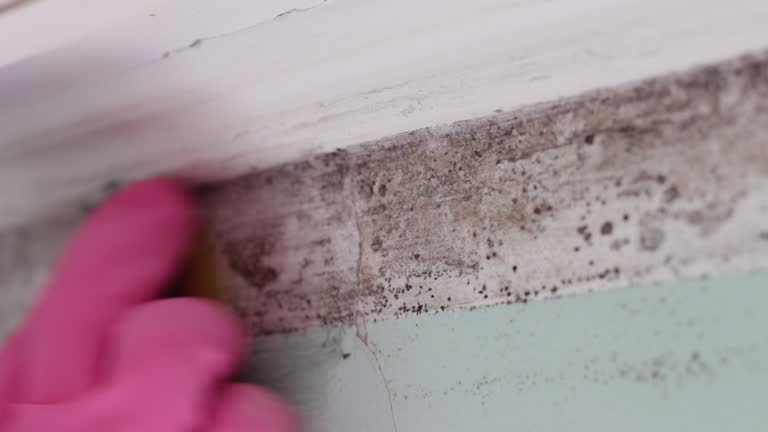 Asbestos and Lead Testing During Mold Inspection in Greenbriar, FL